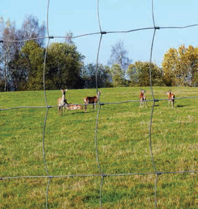 1 - Eläinverkot Sinkitty 200/17/15 3.0mm 50m (Hirviverkko)